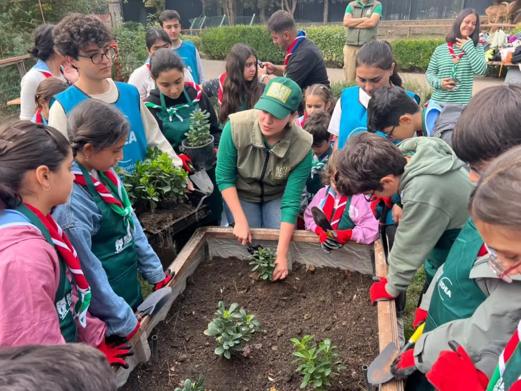 Bakı Zooloji Parkı, “Yaşıl izlər”