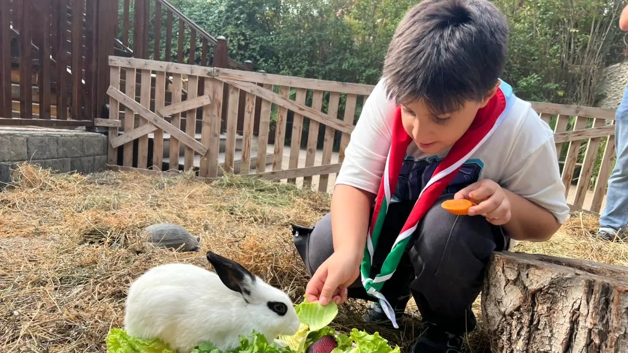 Bakı Zooloji Parkı, “Yaşıl izlər”