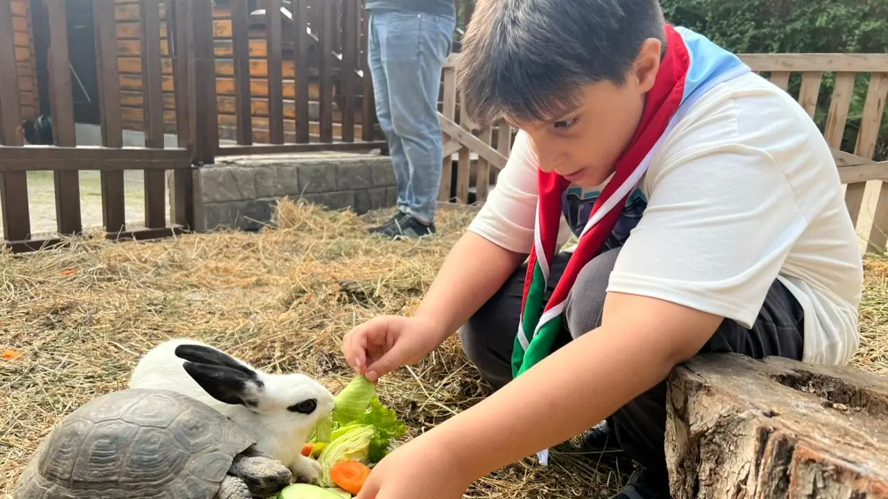 Bakı Zooloji Parkı, “Yaşıl izlər”
