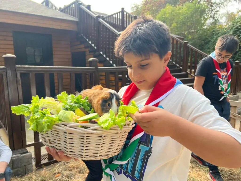 Bakı Zooloji Parkı, “Yaşıl izlər”