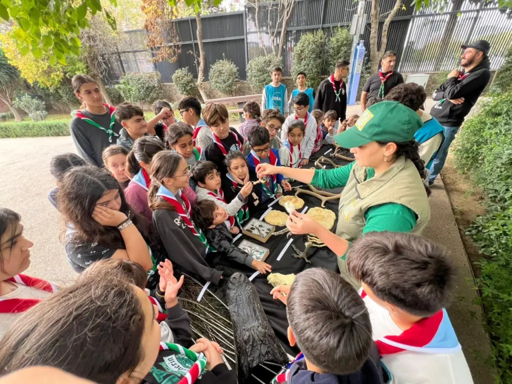 Bakı Zooloji Parkı, “Yaşıl izlər”