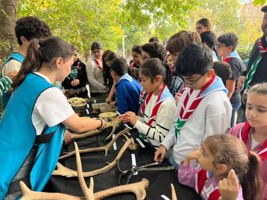 Bakı Zooloji Parkı, “Yaşıl izlər”