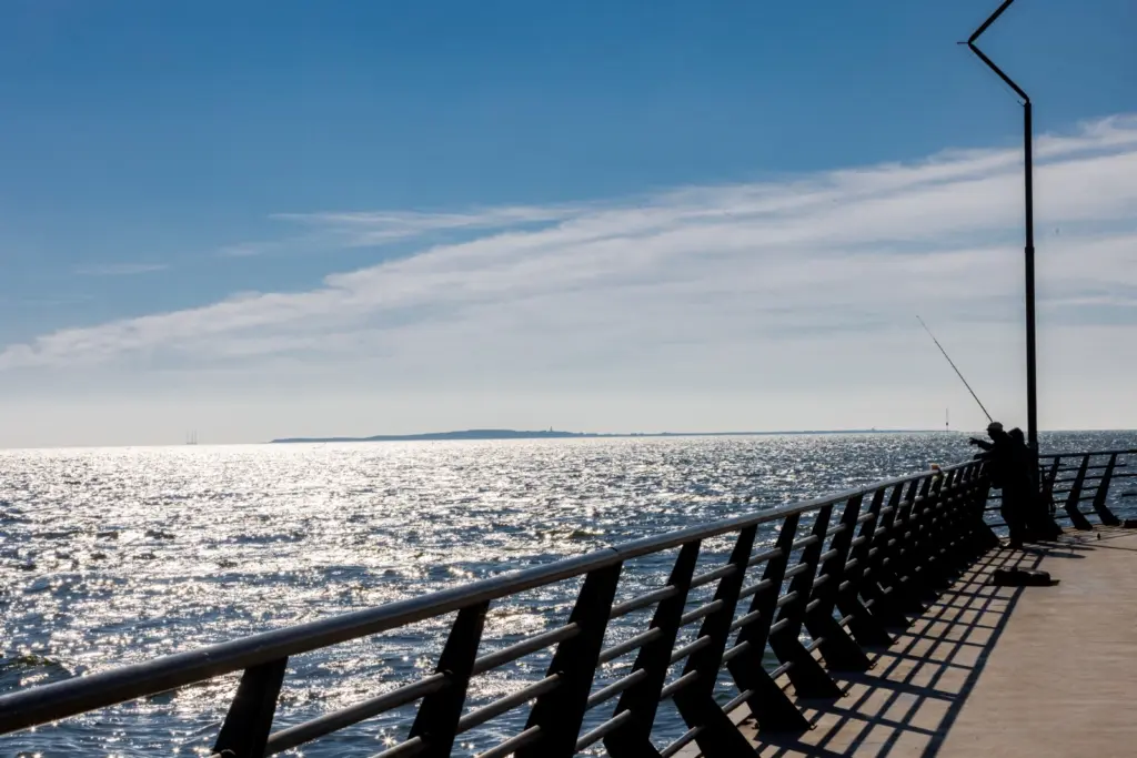 “Qara şəhər”, “Ağ şəhər”, “Bakının yaşıl siması”