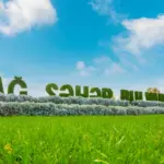 “Qara şəhər”dən “Ağ şəhər”ə, “Qara şəhər”, “Ağ şəhər”, “Bakının yaşıl siması”