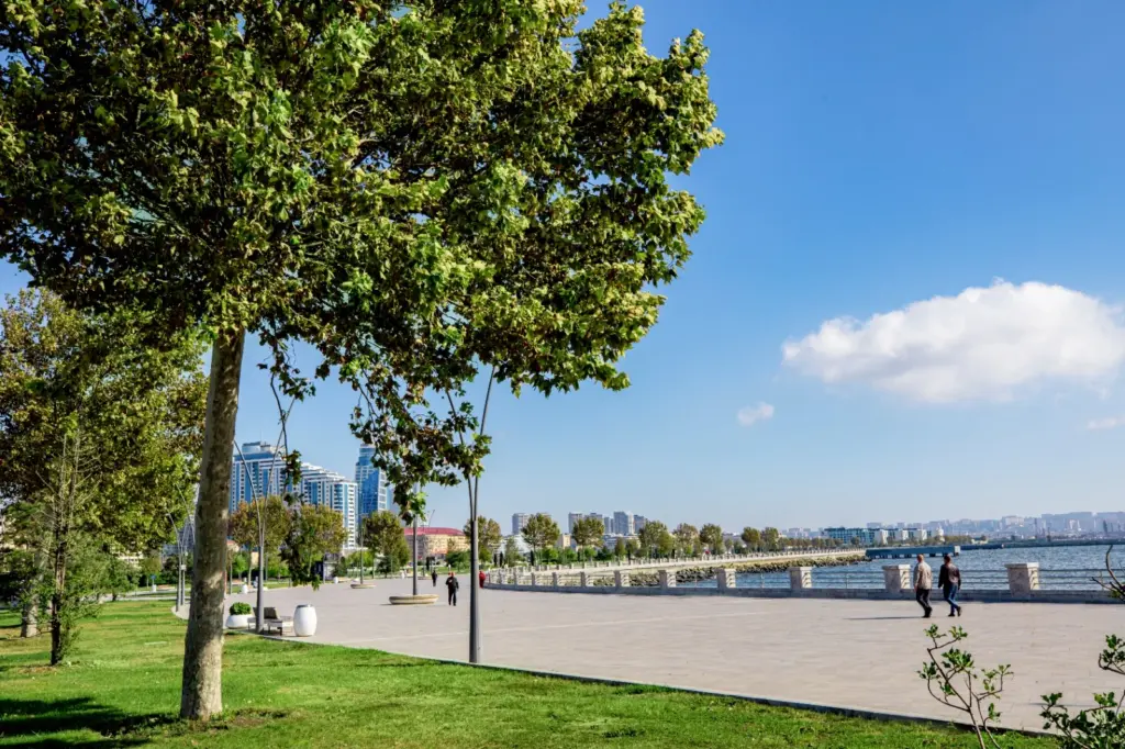 “Qara şəhər”, “Ağ şəhər”, “Bakının yaşıl siması”