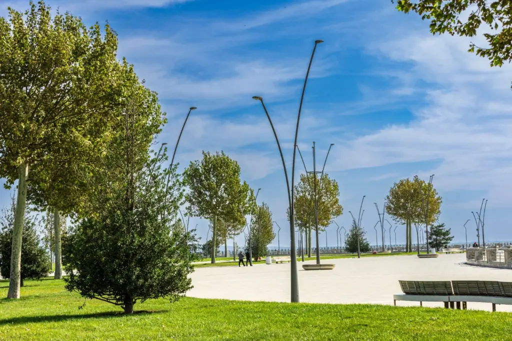 “Qara şəhər”, “Ağ şəhər”, “Bakının yaşıl siması”