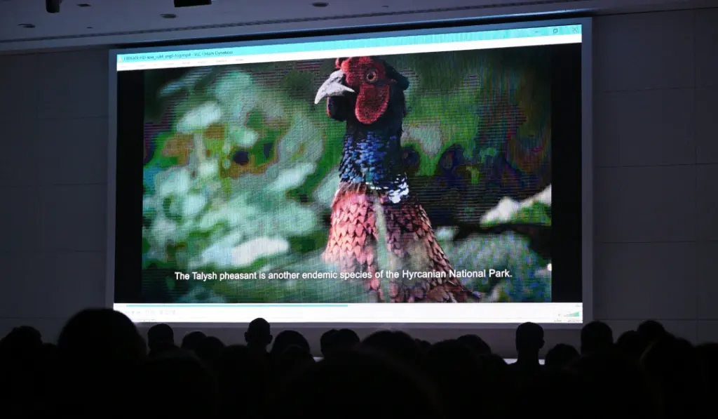 Leyla Əliyeva, "Hirkan" sənədli filmi, Heydər Əliyev Fondu, IDEA İctimai Birliyi