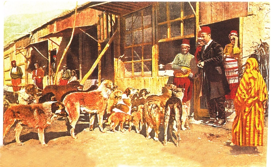 Heyvan haqları, Heyvan, Osmanlı
