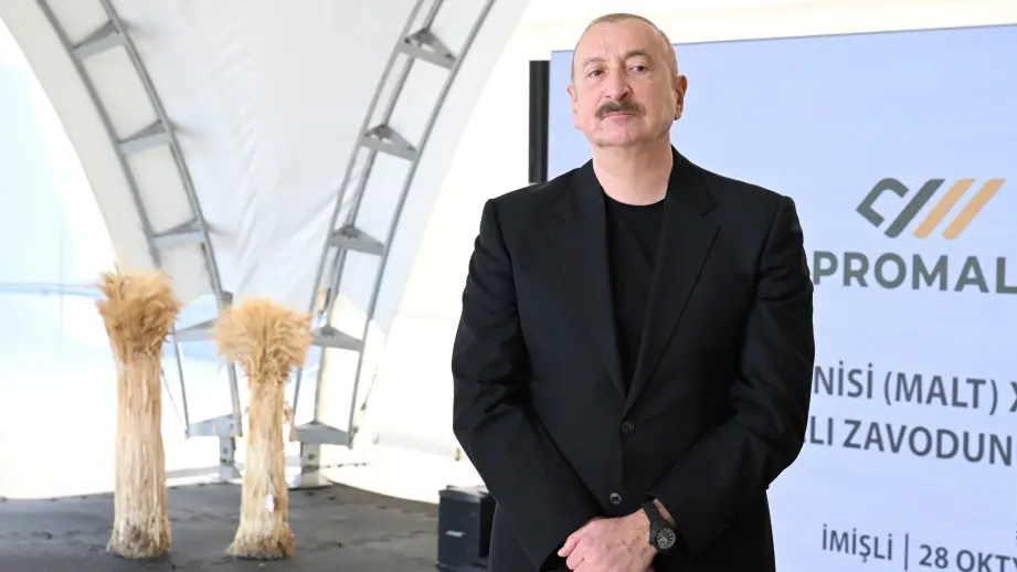 İlham Əliyev, İmişli, "Promalt" MMC