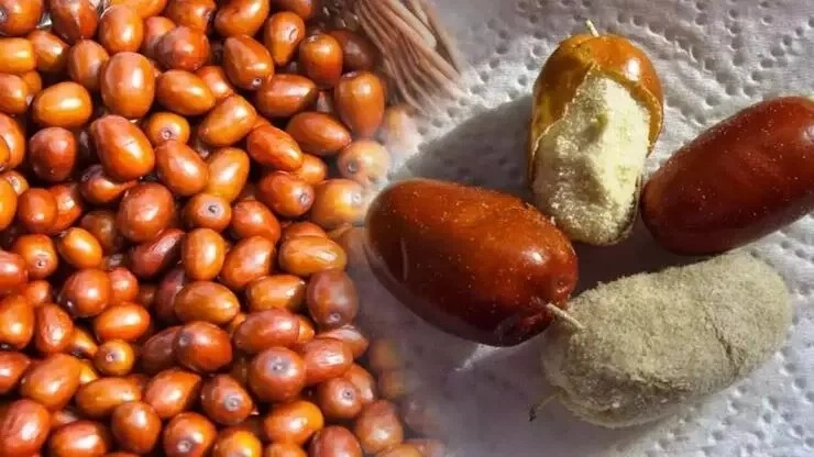 İydə