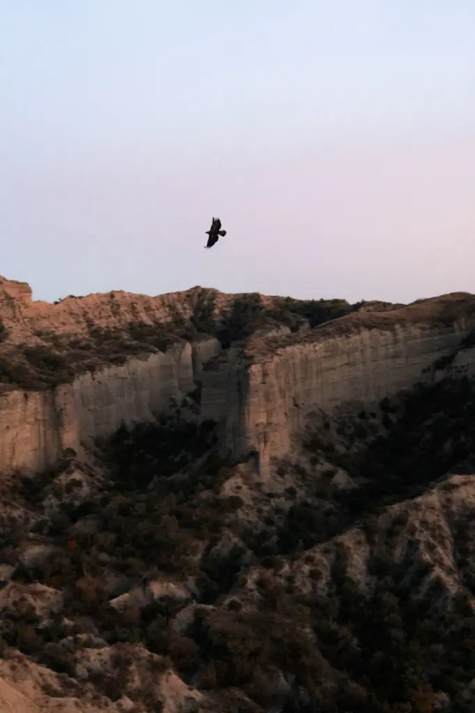 Leyla Əliyeva, Arzu Əliyeva, Qax, Axar-Baxar Milli Parkı