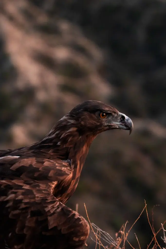 Leyla Əliyeva, Arzu Əliyeva, Qax, Axar-Baxar Milli Parkı