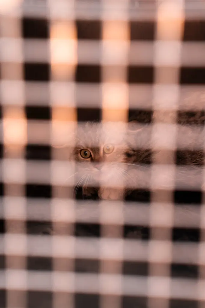 Leyla Əliyeva, Arzu Əliyeva, Qax, Axar-Baxar Milli Parkı