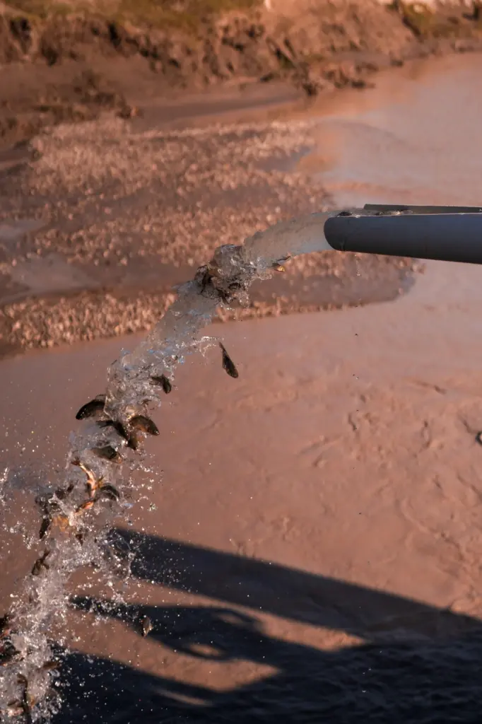 Leyla Əliyeva, Arzu Əliyeva, Qax, Axar-Baxar Milli Parkı