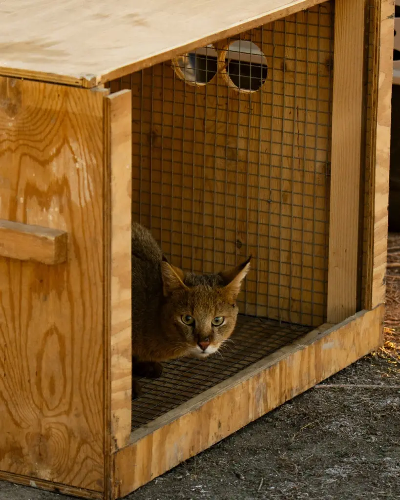 Leyla Əliyeva, Arzu Əliyeva, Qax, Axar-Baxar Milli Parkı