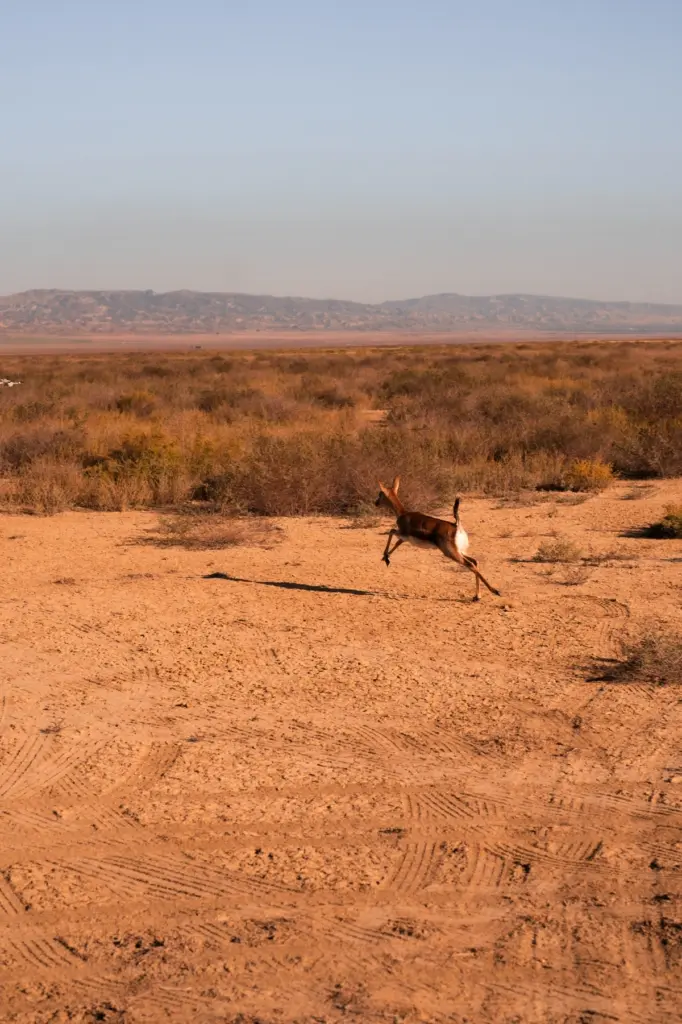 Leyla Əliyeva, Arzu Əliyeva, Qax, Axar-Baxar Milli Parkı