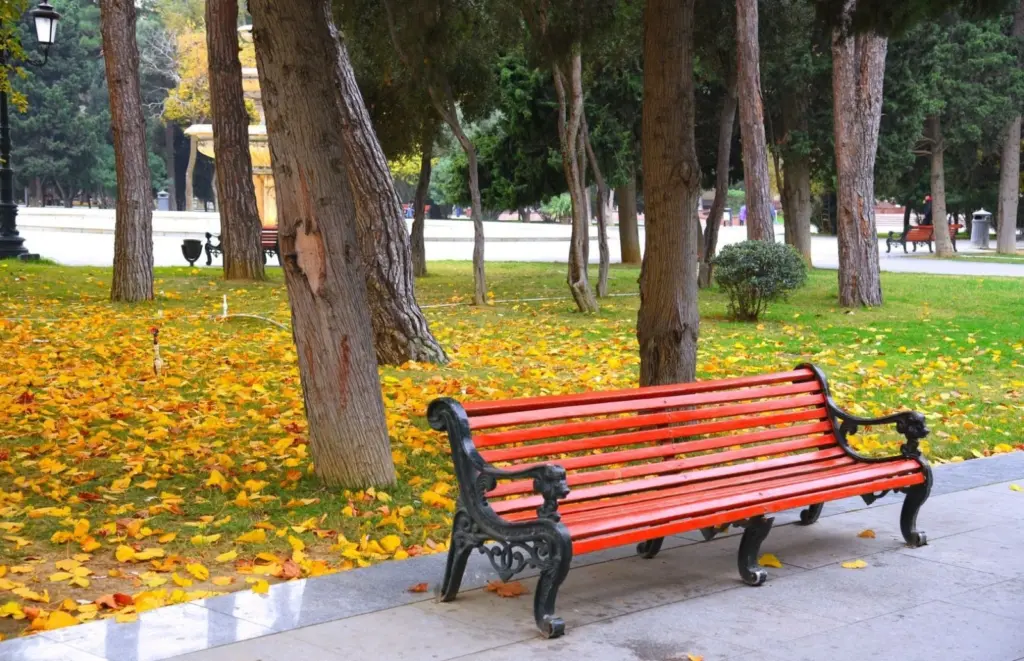 Payız, Bakı, Autumn, Baku