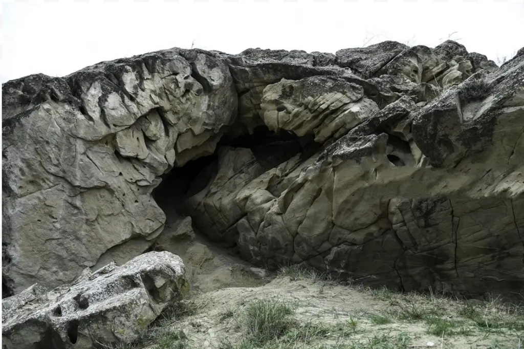 Волчьи ворота