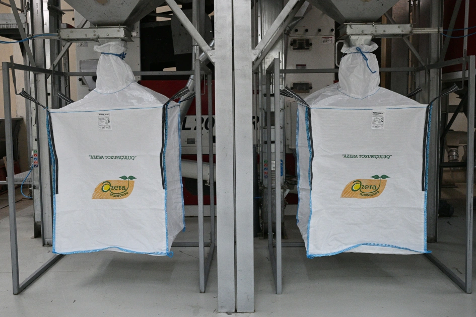 İlham Əliyev, Sabirabad Sənaye Məhəlləsi, "Azera Toxumçuluq"