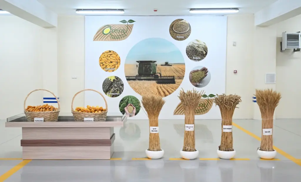 İlham Əliyev, Sabirabad Sənaye Məhəlləsi, "Azera Toxumçuluq"