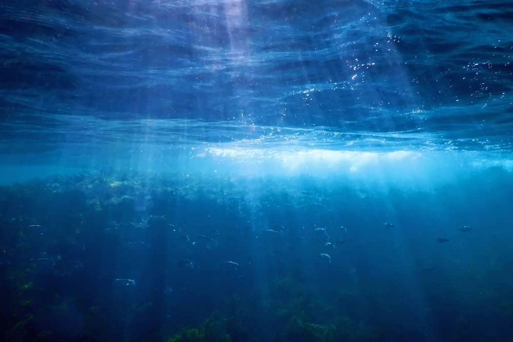 Dənizin melodiyası, Dəniz, Melodiya, "Bloop"