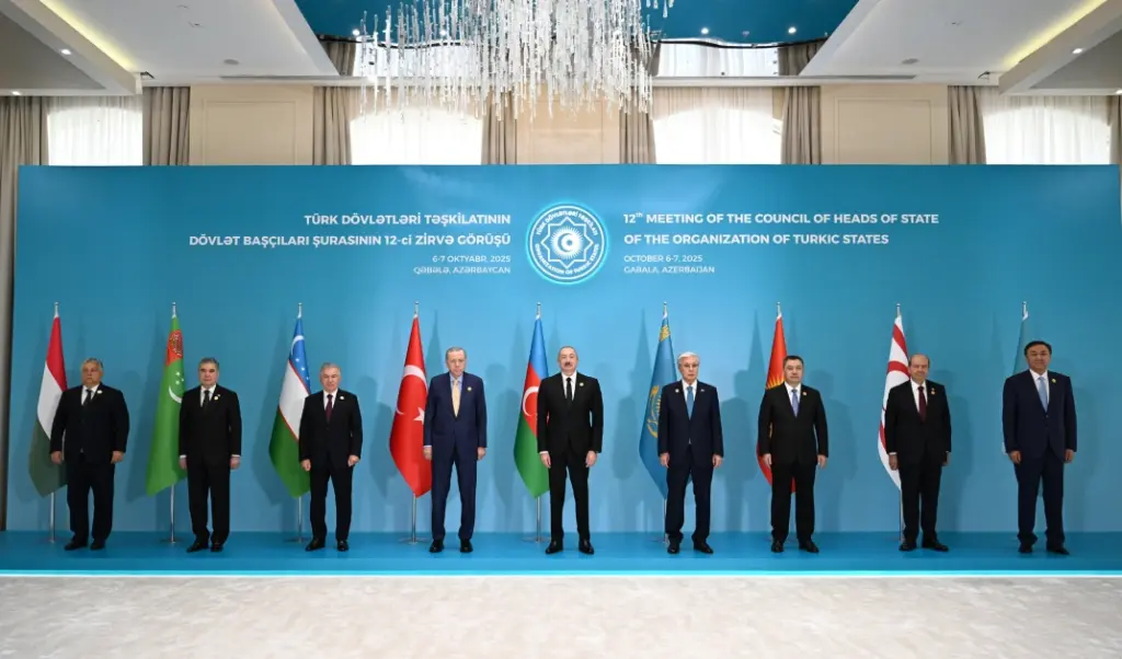 Türk Dövlətləri Təşkilatı, TDT