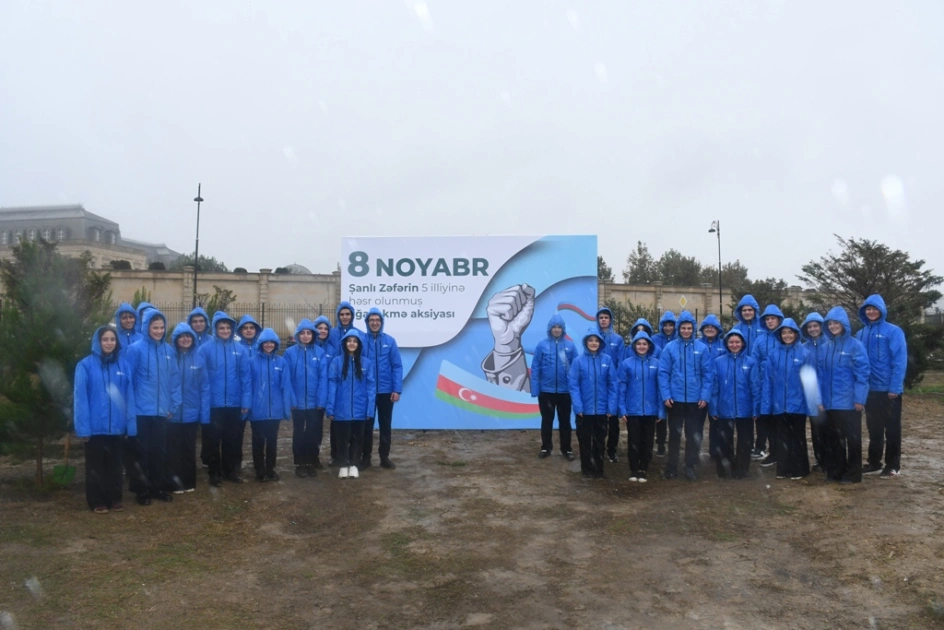 Bakı Şəhər İcra Hakimiyyəti, “Regional İnkişaf” İctimai Birliyi, Nərimanov rayonu, Ağacəkmə aksiyası