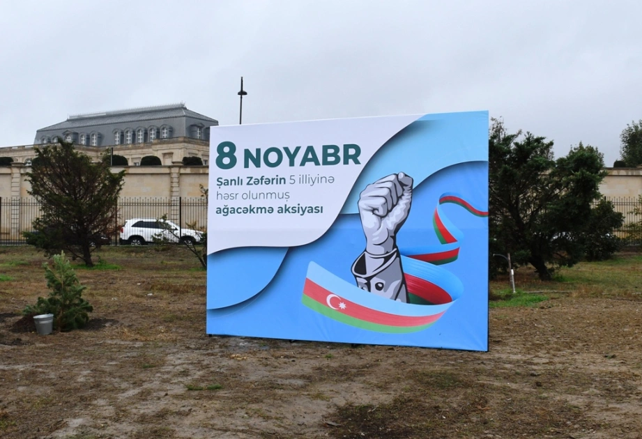 Bakı Şəhər İcra Hakimiyyəti, “Regional İnkişaf” İctimai Birliyi, Nərimanov rayonu, Ağacəkmə aksiyası