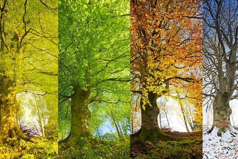 Fəsillərin Azərbaycana daxilolma vaxtları, Fəsil