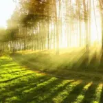 20 dərəcə isti, Hava, Hava proqnozu