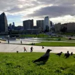 Завтра в Баку погода, Баку, погода