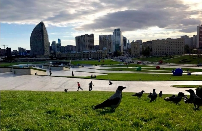 Bakıda hava, Hava, Hava proqnozu