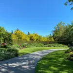 17 dərəcə isti, Hava, Hava proqnozu