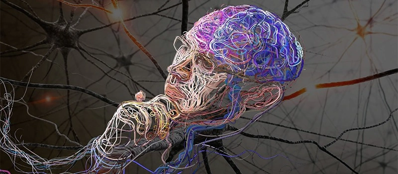 Почему мозг отключает мотивацию, мозг, мотивацию