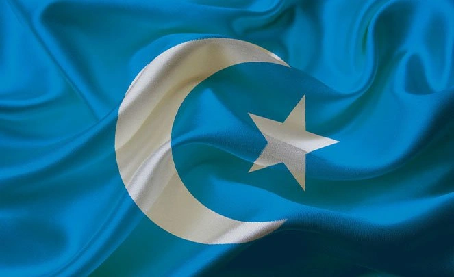 Moğol İmperiyası, Türküstan