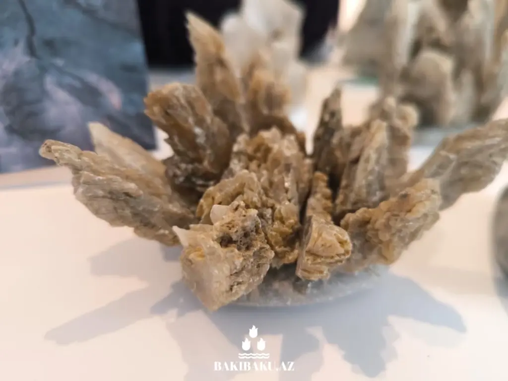 Palçıq Vulkanları Turizm Kompleksi, Vulkan, Palçıq Vulkanları