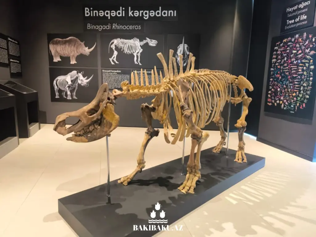 Palçıq Vulkanları Turizm Kompleksi, Vulkan, Palçıq Vulkanları