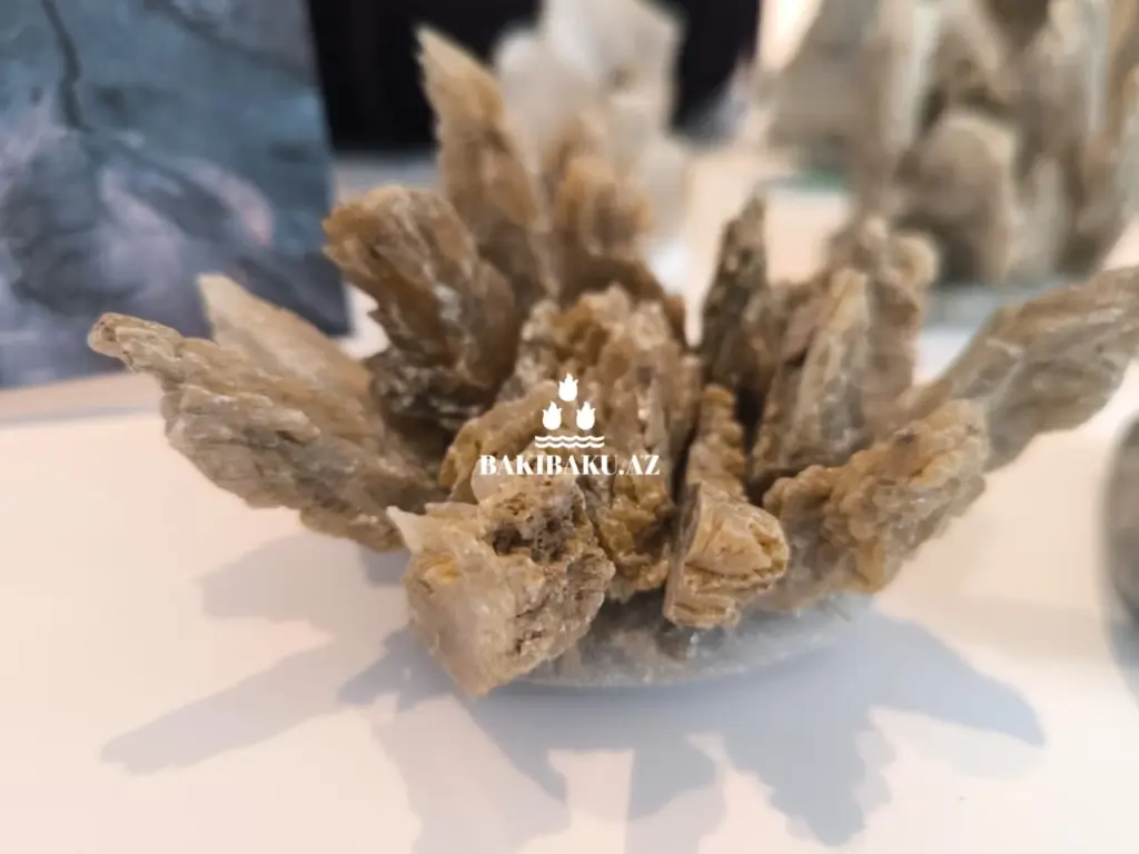 Palçıq Vulkanları Turizm Kompleksi, Vulkan, Palçıq Vulkanları