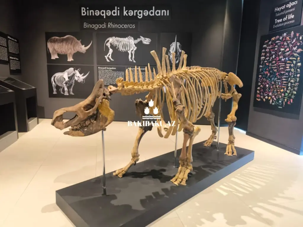 Palçıq Vulkanları Turizm Kompleksi, Vulkan, Palçıq Vulkanları