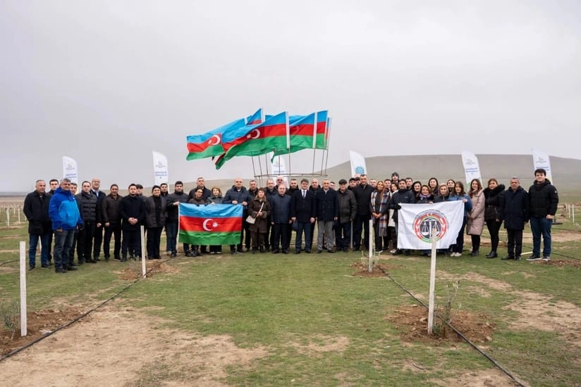 ETSN, Vəkillər Kollegiyası