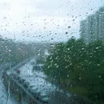 Bakıda hava, Hava, Hava proqnozu