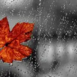 Hava yağıntılı olacaq, Hava, Hava proqnozu