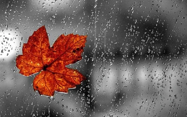 Hava yağıntılı olacaq, Hava, Hava proqnozu