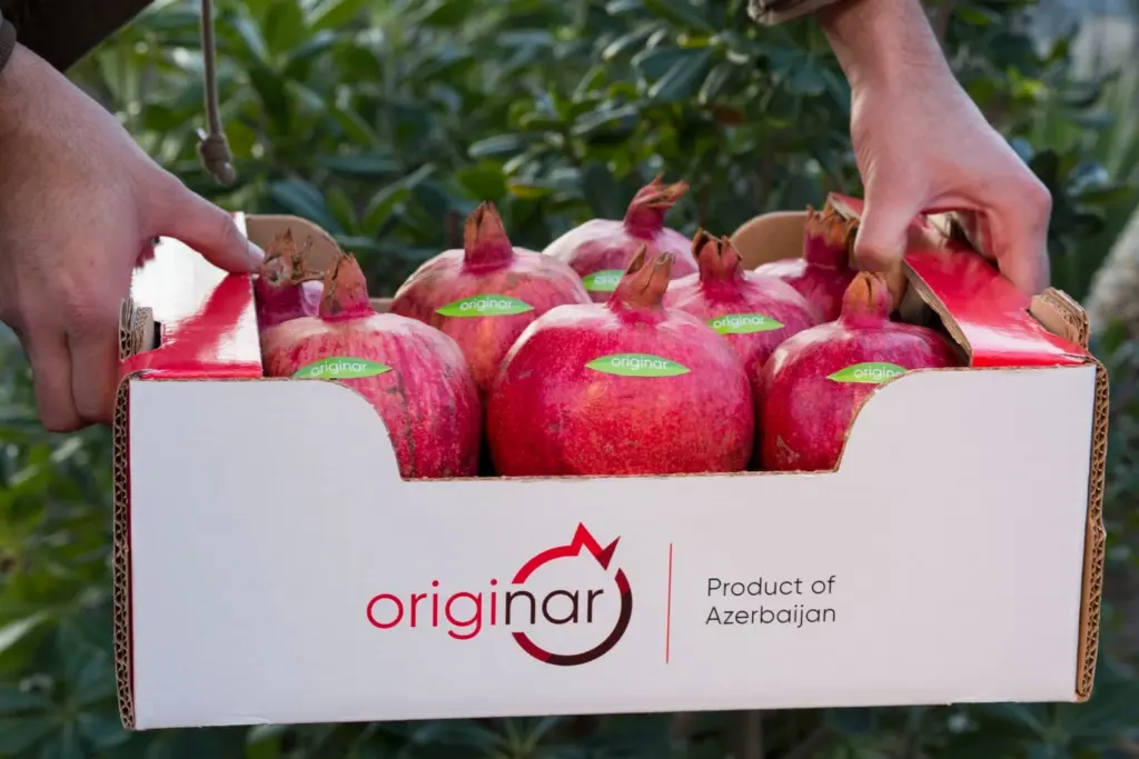 Fərhad Qaraşov, Azərbaycan Nar İstehsalçıları və İxracatçıları Assosiasiyası, ANİİA, Nar