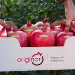 Fərhad Qaraşov, Azərbaycan Nar İstehsalçıları və İxracatçıları Assosiasiyası, ANİİA, Nar