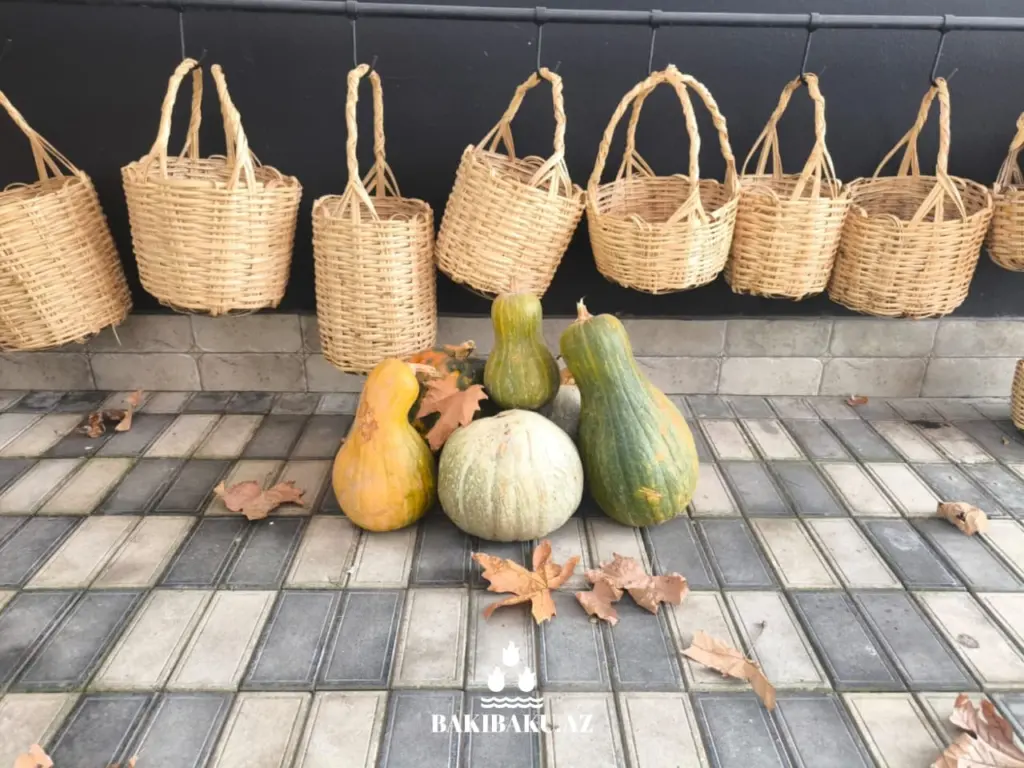 “BioGarden” Aqroekoloji Turizm Məkanı, Şəki şəhəri, Dövlət Turizm Agentliyi