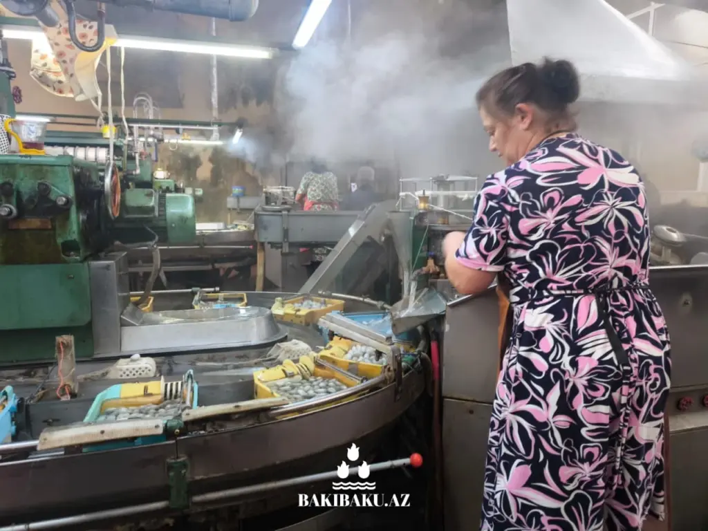 “Azəripək” MMC, Şəki şəhəri, Dövlət Turizm Agentliyi