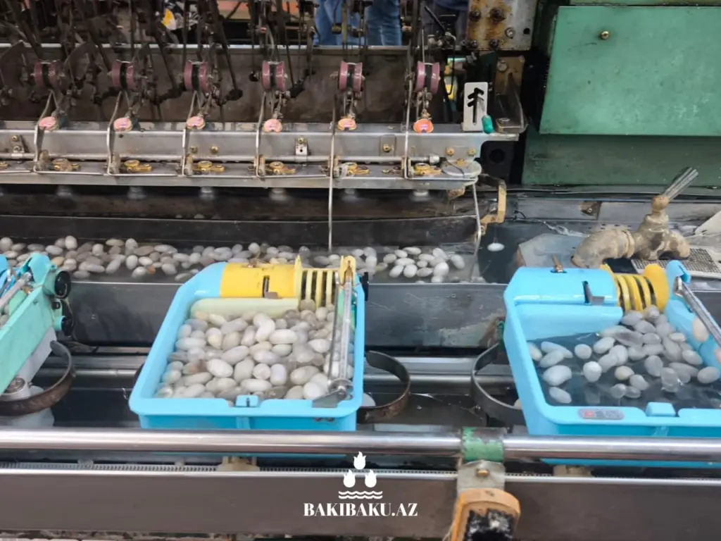 “Azəripək” MMC, Şəki şəhəri, Dövlət Turizm Agentliyi