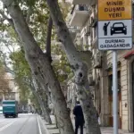 Zərifə Əliyeva küçəsi