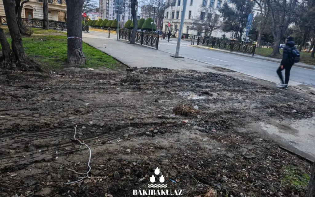 Nəsimi rayonunda tikinti